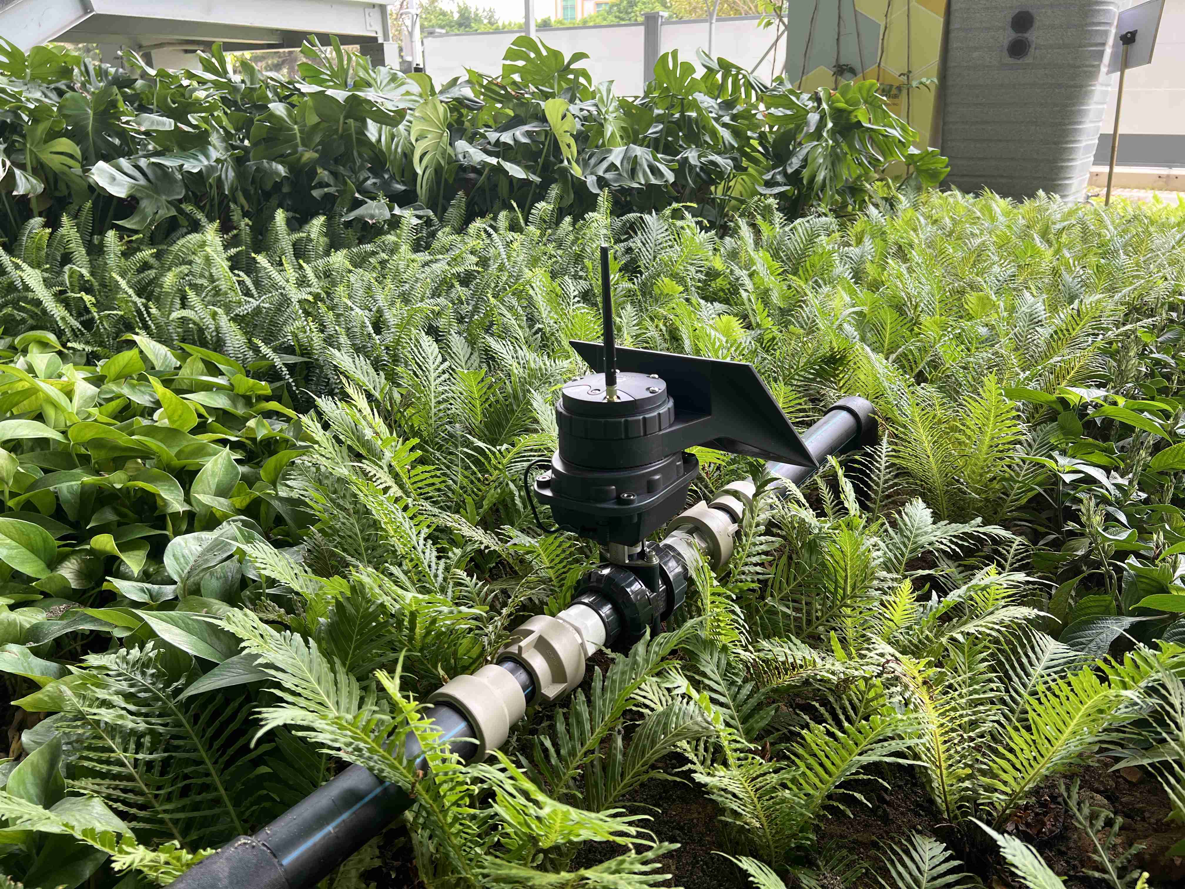 Sistema automático de controle de irrigação de caixa para paisagismo